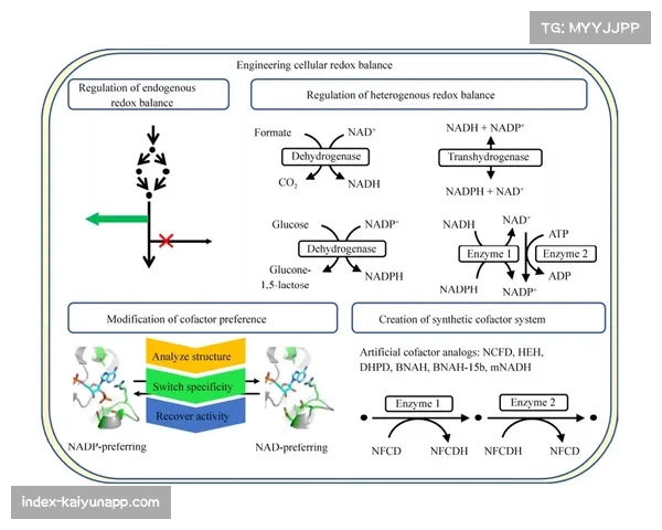 双塔体系在当代转型 功能进化适应外线主导比赛节奏